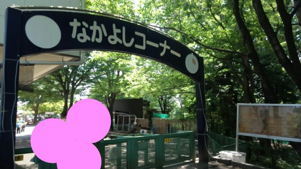 埼玉県東松山市こども動物自然公園　ふれあいコーナー